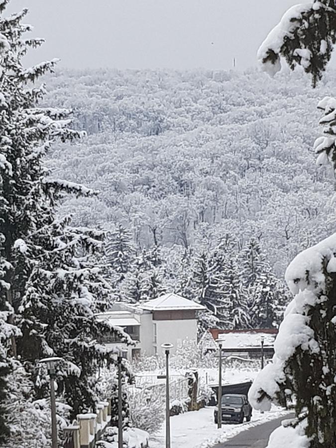 Amaretto Szallas Miskolc Bagian luar foto